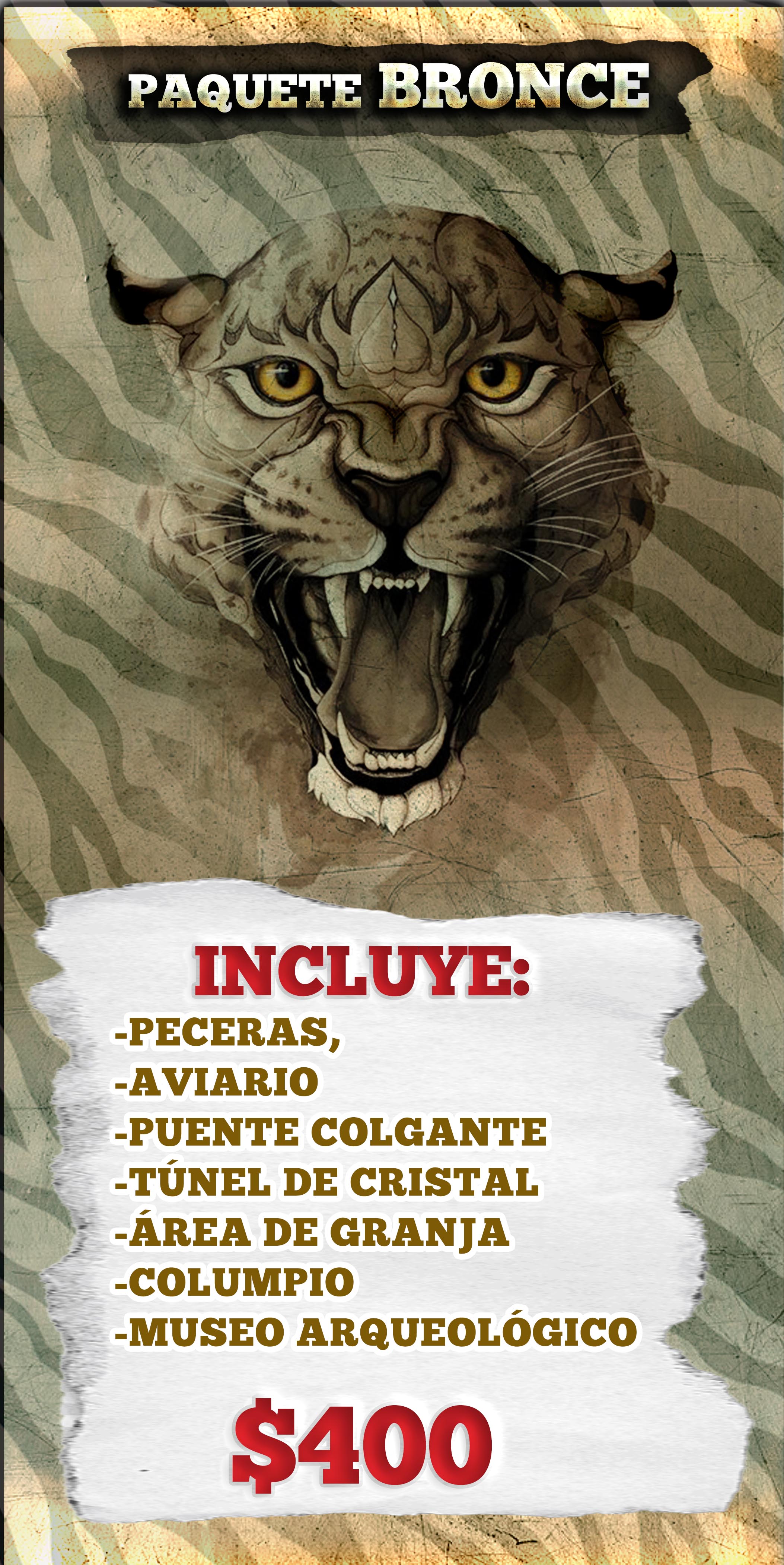 BRONCE